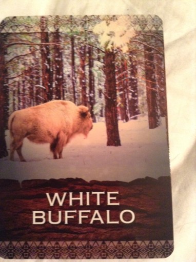 White buffalo